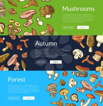 Vector hand drawn food fresh edible mushrooms horizontal web banners illustration