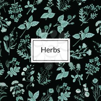 Vector hand drawn medical herbs background or pattern with place for text illustration