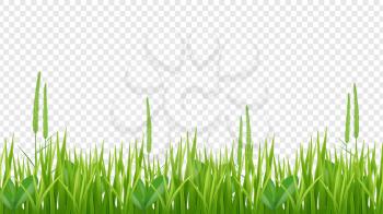 Green grass border. Realistic field or meadow isolated on transparent background. Plant vector background. Illustration meadow green, field lawn