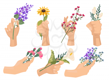Hands with flowers. Florists people holding beautiful bouquet with wildflowers vector illustrations for women. Flower in hand, floral gift to woman