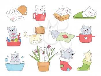 Cute kitty. Funny cats in cups sleeping playing jumping kitty hide in slippers vector cartoon animal. Kitty and kitten cute, relax or playful illustration