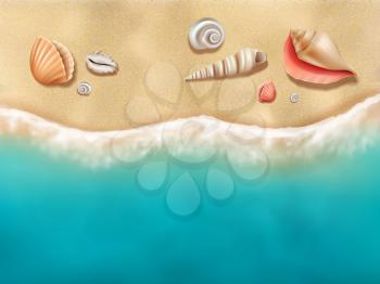 Seaside top view. Sun beach with seashells on sand near ocean water vector realistic background. Ocean seaside tropical sand, relax beach illustration