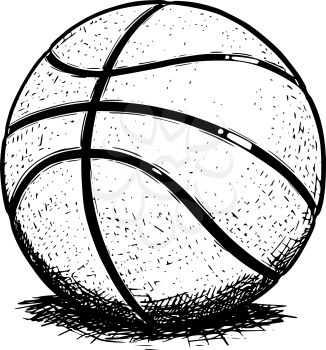 Vector hand drawing drawn illustration of basketball ball.