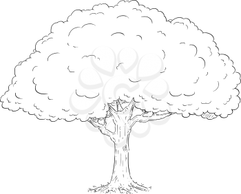 Cartoon vector doodle drawing illustration of broadleaved or deciduous tree.