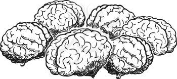 Cartoon drawing and conceptual illustration of group of human brains thinking together as team brainstorming metaphor.