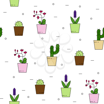 House plants seamless pattern with cactus and orchid. Can be used for background, website, poster etc.