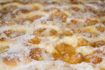Apricot Cake Sprinkled With Powdered Sugar Close Up