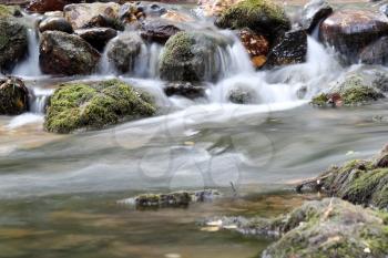 creek with rocks spring scene