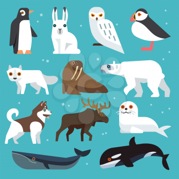 Polar animals icons. Polar birds and arctic northern animals vector set in flat style
