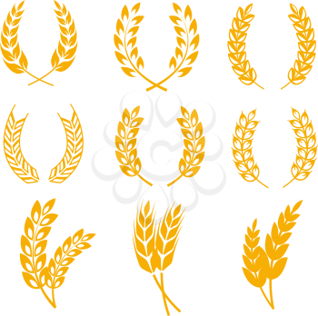 Rye wheat ears wreaths vector elements for bread and beer labels and logos. Harvest cereal golden rye illustration