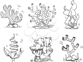 Vintage corals and seaweeds in hand drawn, doodle, sketch style vector set. Seaweeds plant marine, illustration of frame corals