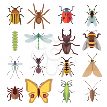 Insect flat icons isolated on white background. Bug and mosquito, fly and spider. Vector illustration