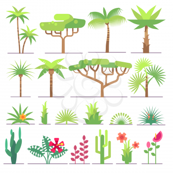Different types of tropical plants, trees, flowers flat vector collection. Flower and exotic palm illustration