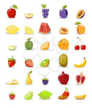 Vector fruits and slices collection. Pear and apple, lemon and orange illustration
