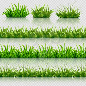 Green grass vector seamless borders set. Grass border nature, illustration of field summer grass
