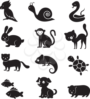 Pets and home animals vector icons. Dog and cat animal, home turtle and snake illustration
