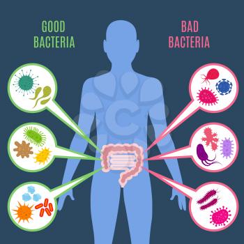 Intestinal flora gut health vector concept with bacteria and probiotics icons. Human flora good and bad microorganism illustration