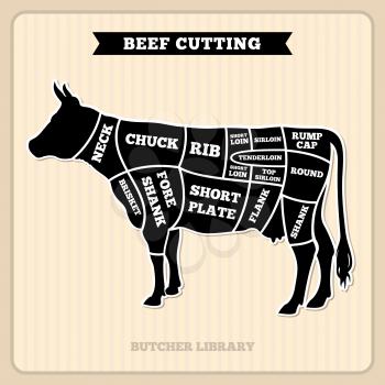 Beef, cow cuts butcher vector diagram. Placard with section cow, illustration of cow meat