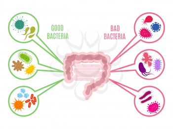 Poster of intestinal flora gut health vector concept with bacteria and probiotics icons isolated on white background. Illustration of bacteria intestine, probiotic intestinal