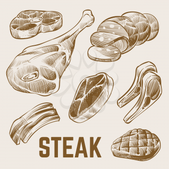 Sketch meat, hand drawn steak vector set. Meat food steak, sketch beef pork illustration