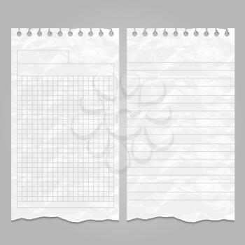 Wrinkled ripped lined page or sheet paper templates for notes or memo. Vector illustration