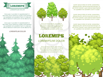 Eco banner template - forest banners with colorful trees design. Background banner card green forest illustration vector