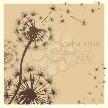 Banner and poster with grunge background with dandelion flowers silhouettes. Vector illustration