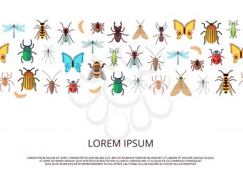 Flat vector icons insects background or banner template. Vector illustration