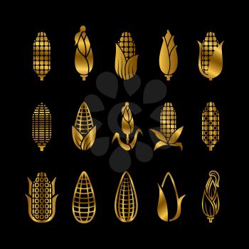Fresh golden corn harvest vector icons set isolated on black illustration