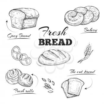 Hand drawn bakery cafe menu. Vector template. Bread and bakery, loaf and bagel, breakfast bun sketch illustration