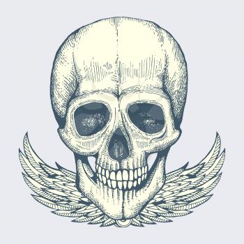 Sketched human skull with wings - vintage biker style poster, label vector design isolated on background