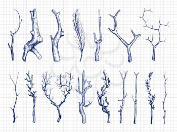 Hand drawn wood branches collection. Wood sketches on notebook page. Vector illustration