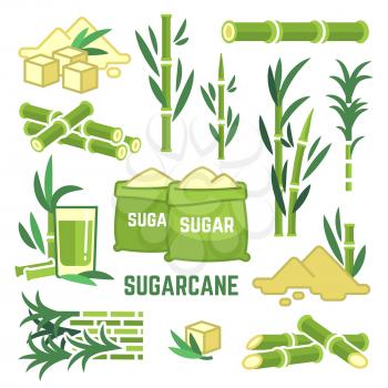 Sugar plant agricultural crops, cane leaf, sugarcane juice vector icons. Sugar cane, sweet plant, natural green stem illustration