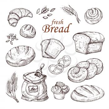 Sketch bread, hand drawn bakery products vector set isolated on white background. Sketch loaf bakery drawing, bun fresh illustration