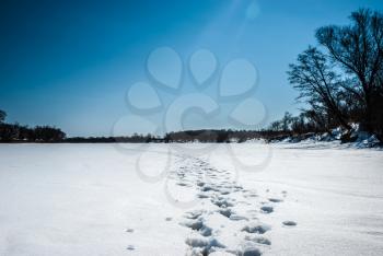River in winter. Footprints in the snow.