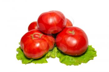 Big red tomatoes with lettuce isolated on white.