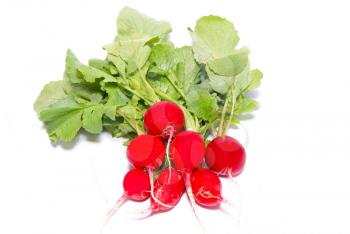 Bunch of red radish isolated on white.