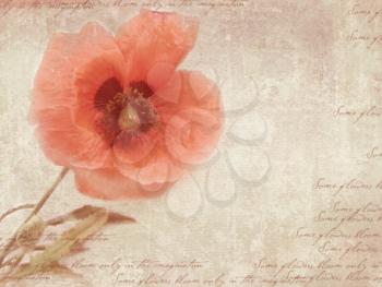 Grungy retro background with poppy flowers. A vintage styled collage with poppy flowers, faded handwriting on shabby old paper. Postcard template.