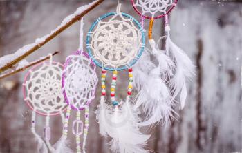 Dream catcher hanging from a tree. Ethnic design, boho style, l.