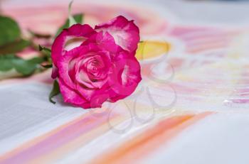Rose on a picturesque canvas background. Greeting Card Mother's Day, Women's Day.