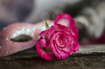 Pink rose in the shape of a heart on a blurred wooden background.Photo for in love, Valentin's day concept.