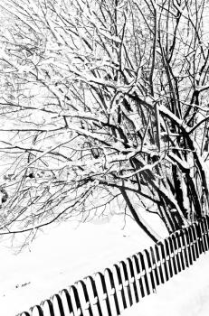 Beautiful banner with park fence in winter on white background for lifestyle design. Winter snow trees view. Snowy landscape.