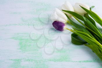 White tulips floral background. Flower frame. Flower background. Flower bouquet. Greeting card. Mothers day. Flowers.  Flower pattern. Flower border. Place for text. Copy space