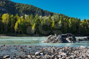 Rocky shore of the turquoise river, Katun river, Altai Mountains, Russia