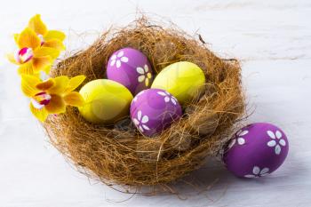 Easter eggs in the nest with yellow orchids