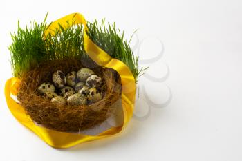 Nest with eggs of the wild bird in fresh green grass with a yellow satin ribbon on white background. Easter background. Easter symbol. Top view with copy space. Horizontal
