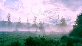 Beautiful landscape with dawn mist and morning dew. Summer idyllic beautiful landscape.