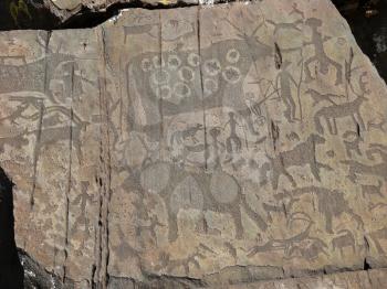 People and animals petroglyphs. Prehistorical petroglyphs carved in rocks. Siberian Altai Mountains, Russia                              
