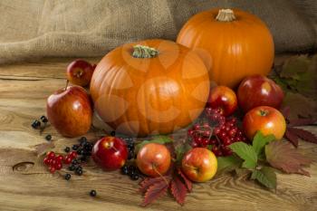 pumpkins, apple, cranberry, bird cherry, leaves on wooden background