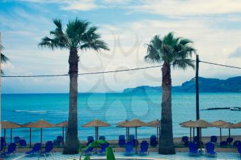 Rustic Palapa Umbrellas and Blue Folding Chairs with two high palms overlooking the shoreline of the blue and wavy mediterranean sea, Vacation Landscape of the Beach with sun with parasols